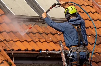 Démoussage et hydrofuge de toiture à Draillant